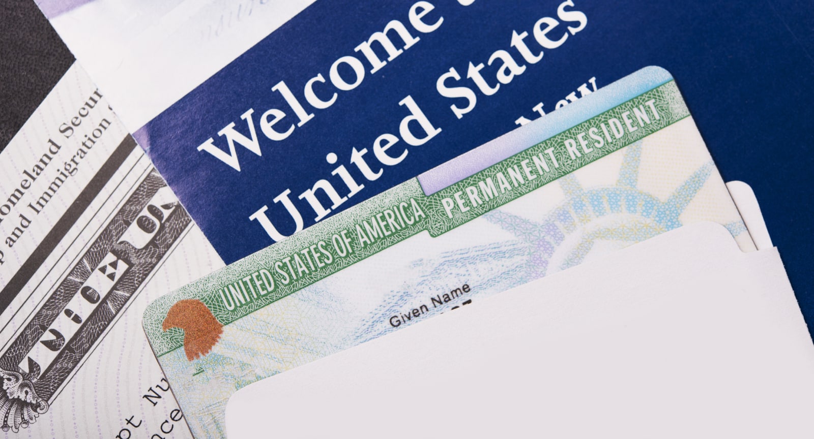 Immigration Consultation